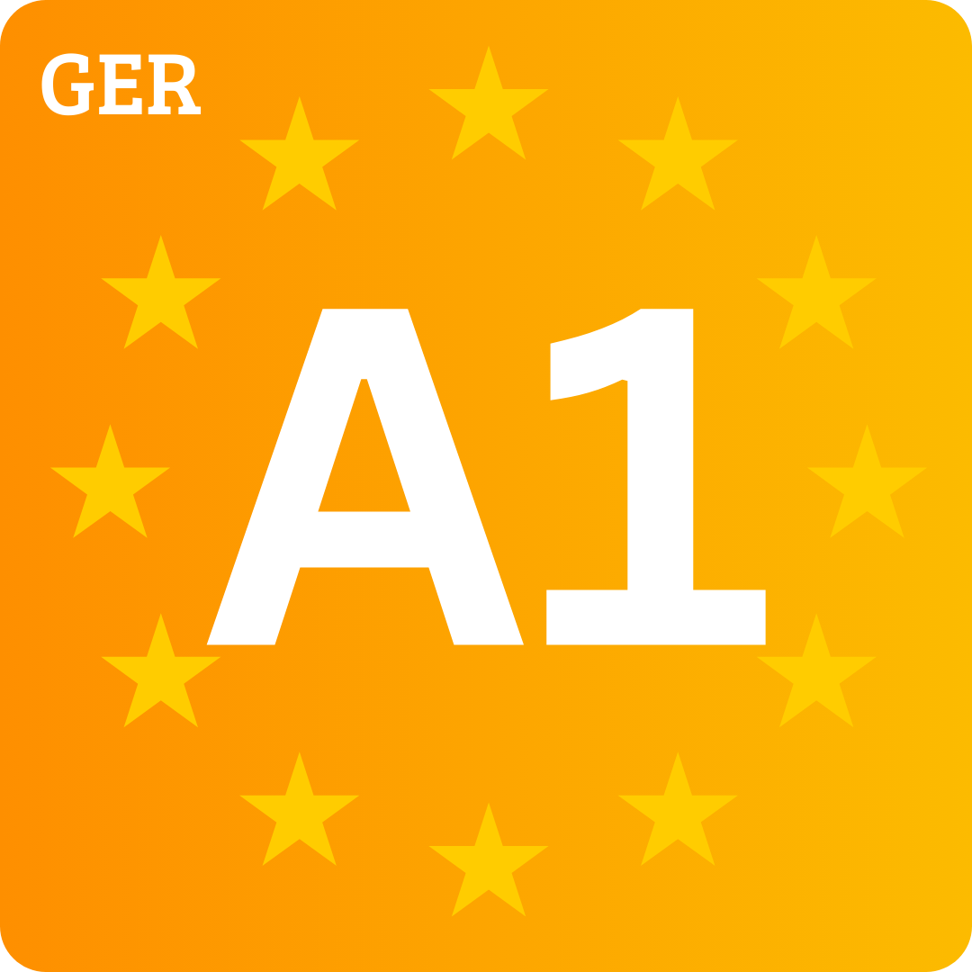 A1 Niveau Deutsch 1zu1 1